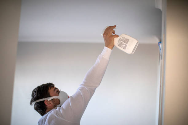 Best Professional Mold Removal  in Meadow Vale, KY